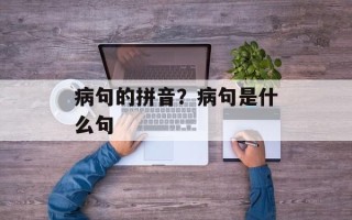 病句的拼音？病句是什么句