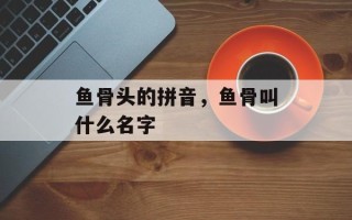 鱼骨头的拼音，鱼骨叫什么名字