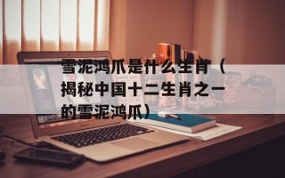 雪泥鸿爪是什么生肖（揭秘中国十二生肖之一的雪泥鸿爪）