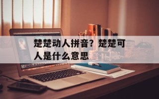 楚楚动人拼音？楚楚可人是什么意思