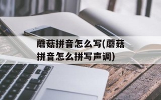 蘑菇拼音怎么写(蘑菇拼音怎么拼写声调)