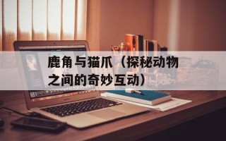 鹿角与猫爪（探秘动物之间的奇妙互动）