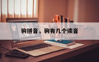 驹拼音，驹有几个读音