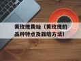 黄玫瑰黄灿（黄玫瑰的品种特点及栽培方法）