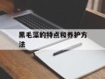 黑毛藻的特点和养护方法