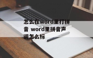 怎么在word里打拼音 word里拼音声调怎么标