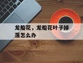 龙船花，龙船花叶子掉落怎么办