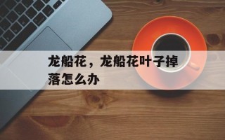 龙船花，龙船花叶子掉落怎么办