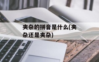 夹杂的拼音是什么(夹杂还是夹杂)