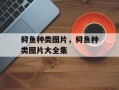 鲟鱼种类图片，鲟鱼种类图片大全集