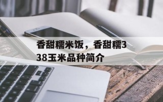 香甜糯米饭，香甜糯338玉米品种简介
