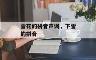 雪花的拼音声调，下雪的拼音