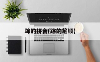 踪的拼音(踪的笔顺)