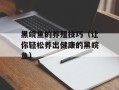 黑皖鱼的养殖技巧（让你轻松养出健康的黑皖鱼）