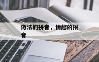 做法的拼音，情趣的拼音