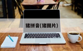 猪拼音(猪图片)