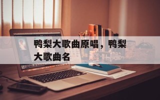 鸭梨大歌曲原唱，鸭梨大歌曲名