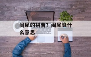 阑尾的拼音？阑尾炎什么意思