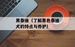 黑泰迪（了解黑色泰迪犬的特点与养护）