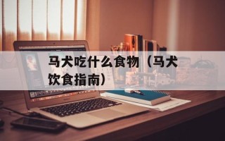 马犬吃什么食物（马犬饮食指南）