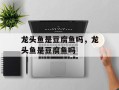 龙头鱼是豆腐鱼吗，龙头鱼是豆腐鱼吗