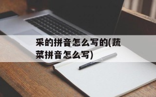 采的拼音怎么写的(蔬菜拼音怎么写)