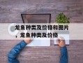 龙鱼种类及价格和图片，龙鱼种类及价格