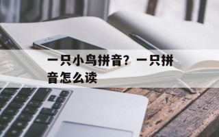 一只小鸟拼音？一只拼音怎么读