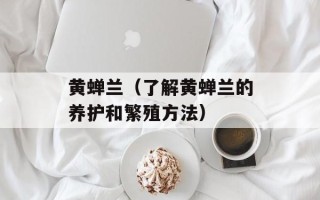 黄蝉兰（了解黄蝉兰的养护和繁殖方法）