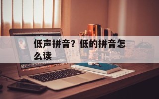 低声拼音？低的拼音怎么读