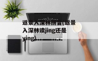 返景入深林拼音(返景入深林读jing还是ying)