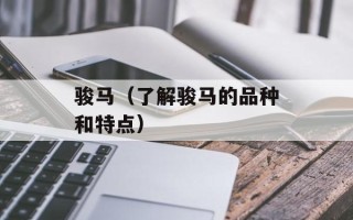 骏马（了解骏马的品种和特点）