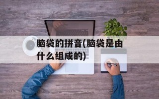 脑袋的拼音(脑袋是由什么组成的)