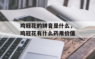 鸡冠花的拼音是什么，鸡冠花有什么药用价值