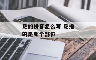 足的拼音怎么写 足指的是哪个部位