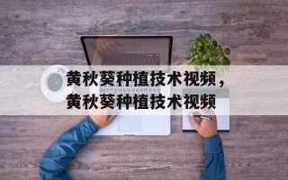 黄秋葵种植技术视频，黄秋葵种植技术视频
