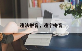 违法拼音，违字拼音