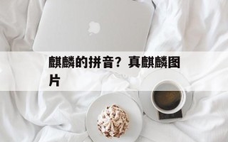 麒麟的拼音？真麒麟图片
