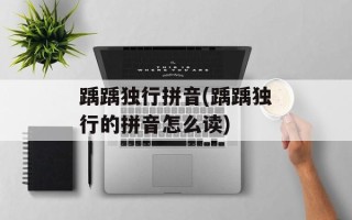 踽踽独行拼音(踽踽独行的拼音怎么读)