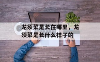 龙须菜是长在哪里，龙须菜是长什么样子的