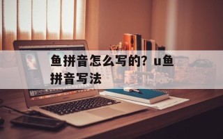 鱼拼音怎么写的？u鱼拼音写法