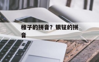 稚子的拼音？银钲的拼音
