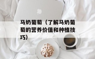马奶葡萄（了解马奶葡萄的营养价值和种植技巧）