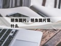 鲢鱼图片，鲢鱼图片是什么