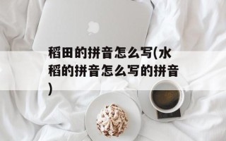 稻田的拼音怎么写(水稻的拼音怎么写的拼音)