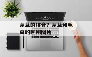 茅草的拼音？茅草和毛草的区别图片