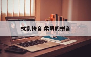 扰乱拼音 柔弱的拼音