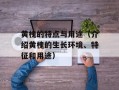黄槐的特点与用途（介绍黄槐的生长环境、特征和用途）