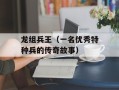 龙组兵王（一名优秀特种兵的传奇故事）