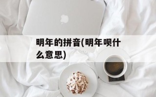 明年的拼音(明年呗什么意思)